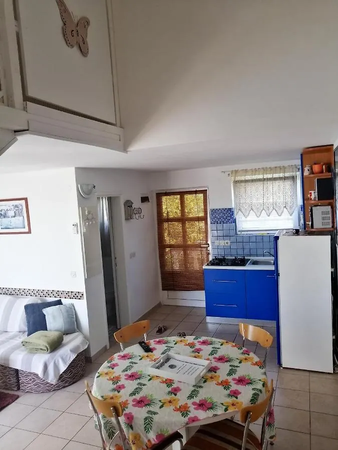 Charming Apartment In Zaton + Terrace Zaton (Zadar)